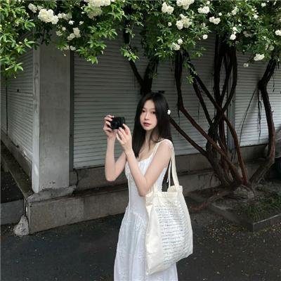刺猬与城市